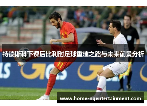 特德斯科下课后比利时足球重建之路与未来前景分析