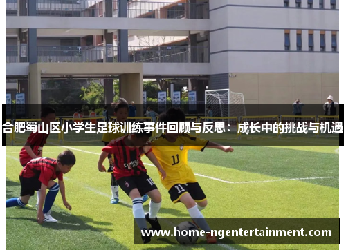 合肥蜀山区小学生足球训练事件回顾与反思：成长中的挑战与机遇