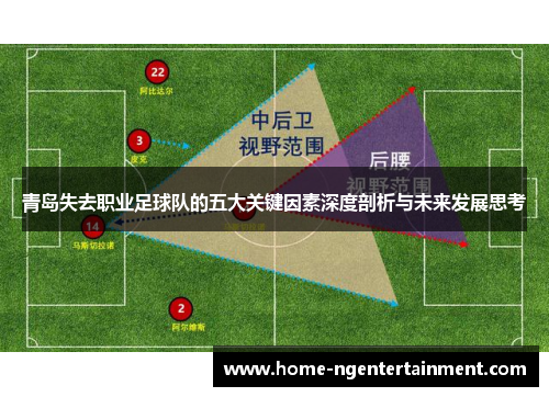 青岛失去职业足球队的五大关键因素深度剖析与未来发展思考