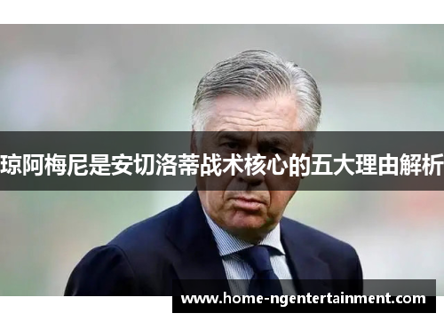 琼阿梅尼是安切洛蒂战术核心的五大理由解析