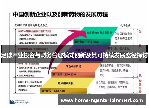足球产业投资与财务管理模式创新及其可持续发展路径探讨 足球产业投资与财务管理模式创新及其可持续发展路径探讨